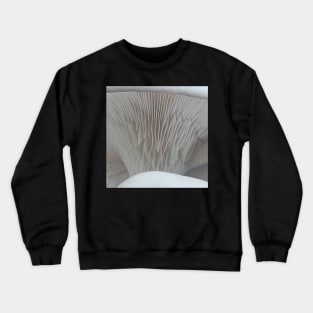 Oyster Mushroom Gills #2 Crewneck Sweatshirt